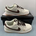 2023 NIKE SB Dunk Low low top casual shoe XD1688-010