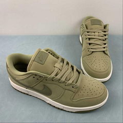 SB Dunk Low      low top casual shoe DV7415-200