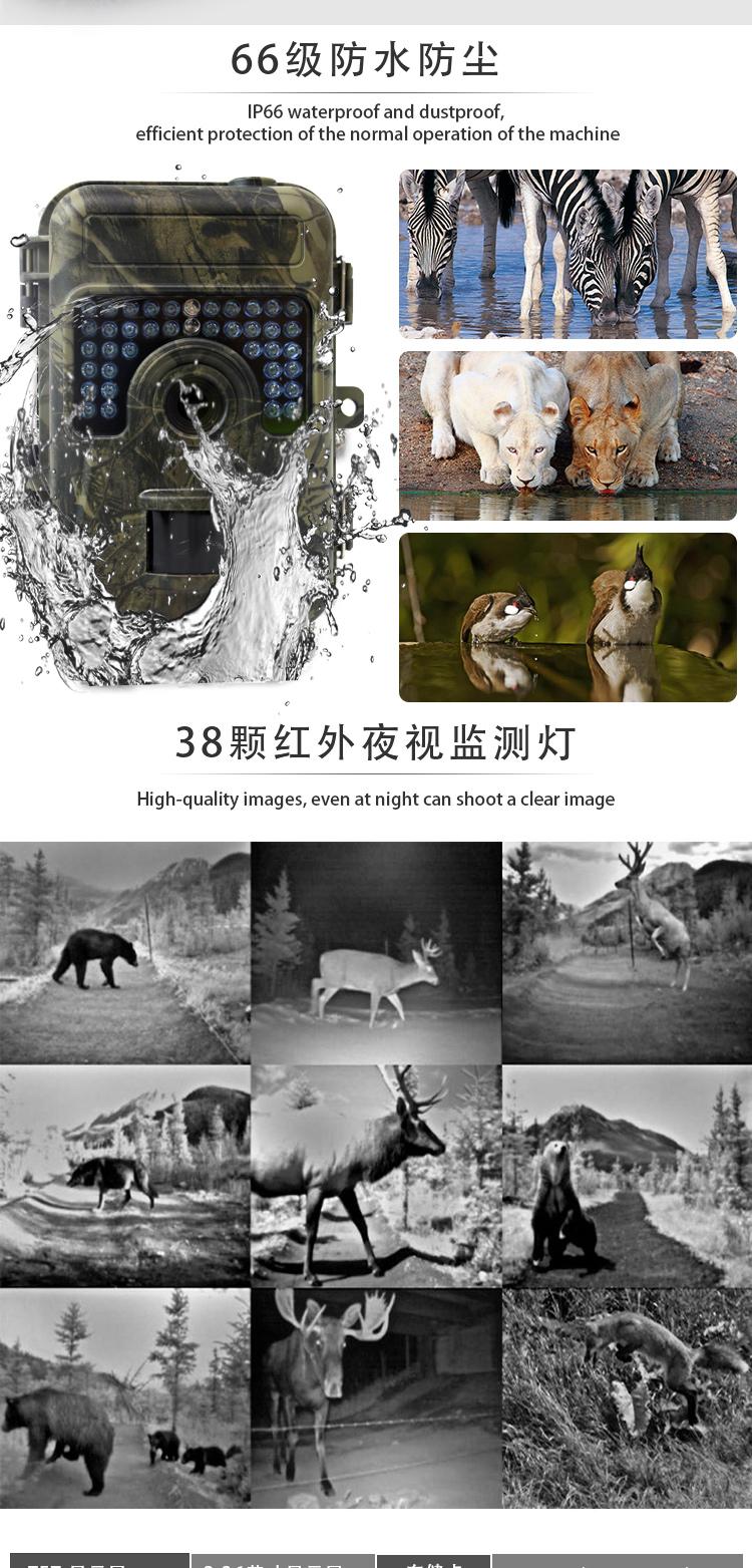 灏海红外防水狩猎相机 5