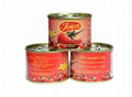 canned tomato paste 3