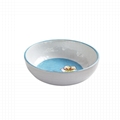 Melamine 7"soup noodle bowl 2