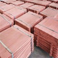 HIGH QUALITY electrolytic copper 3