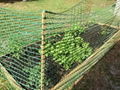 Green Temporary Barrier Fencing Mesh