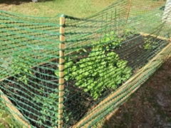 Green Temporary Barrier Fencing Mesh