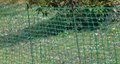 Versatile Barrier Fence with Square Mesh Opening 3