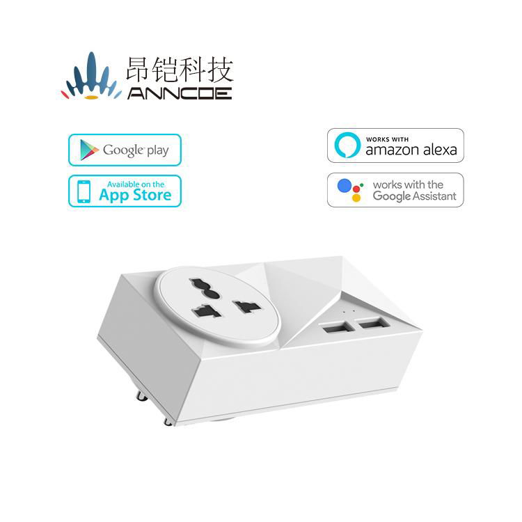 White India smart wifi socket plug with energy monitoring and voice control Type