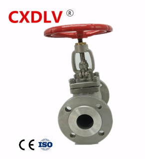 CXD    NSI flanged globe valve 2