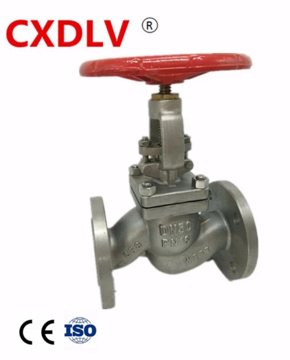 CXD    NSI flanged globe valve 4