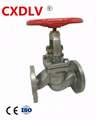 CXD    NSI flanged globe valve 4