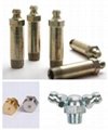 grease nipple,graseras fittings
