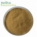 100% organic Maca extract 1