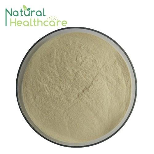 Best Ginseng Extract Powder