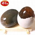 Preserved Egg