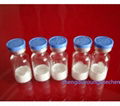 Manufacturer supply Cosmetic peptide Argireline Acetyl Hexapeptide-8  2