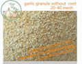 China Natural Dehydrated Fried Garlic Granules