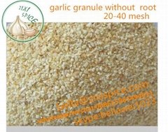 China Natural Dehydrated Fried Garlic Granules