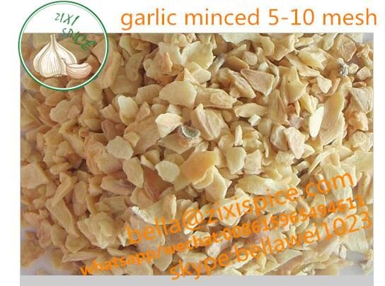 wholesale roast garlic flavor powder food