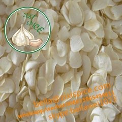 First quality dehydrated natural garlic powder