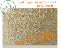 wholesale garlic dehydrated garlic powder