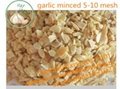 Top quality wholesale dehydrated garlic export
