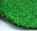 Artificial Turf