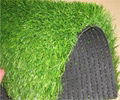 Artificial Turf 5