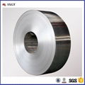 Factory Direct Prime Galvanized Steel Strips 1