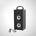 Wooden portable active party speaker with FM radio and remote control function 1