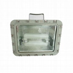 250W MH HPS Lamp Explosion proof flood light 