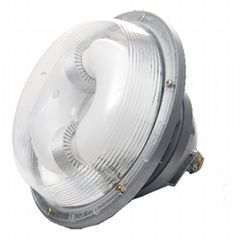 Maintenance Free Energy-Saving Light Electrodeless Induction Lamp