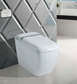 One piece Intelligent Smart Toilet with