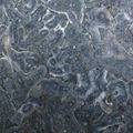 Blue coral slabs