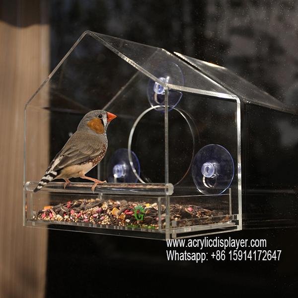 Acrylic Window Bird Feeder 2