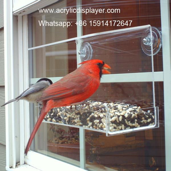 Acrylic Window Bird Feeder 4
