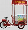 solar freezer tricycle 1