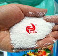 NPK 20-20-20+TE water soluble fertilizer 1