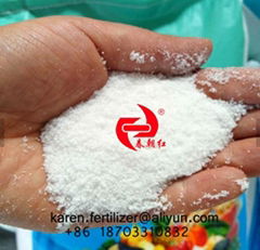 NPK 20-20-20+TE water soluble fertilizer