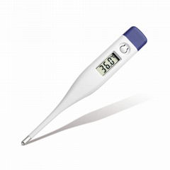 digital thermometer