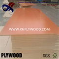 VENEERED PLYWOOD 2