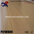 VENEERED PLYWOOD 3