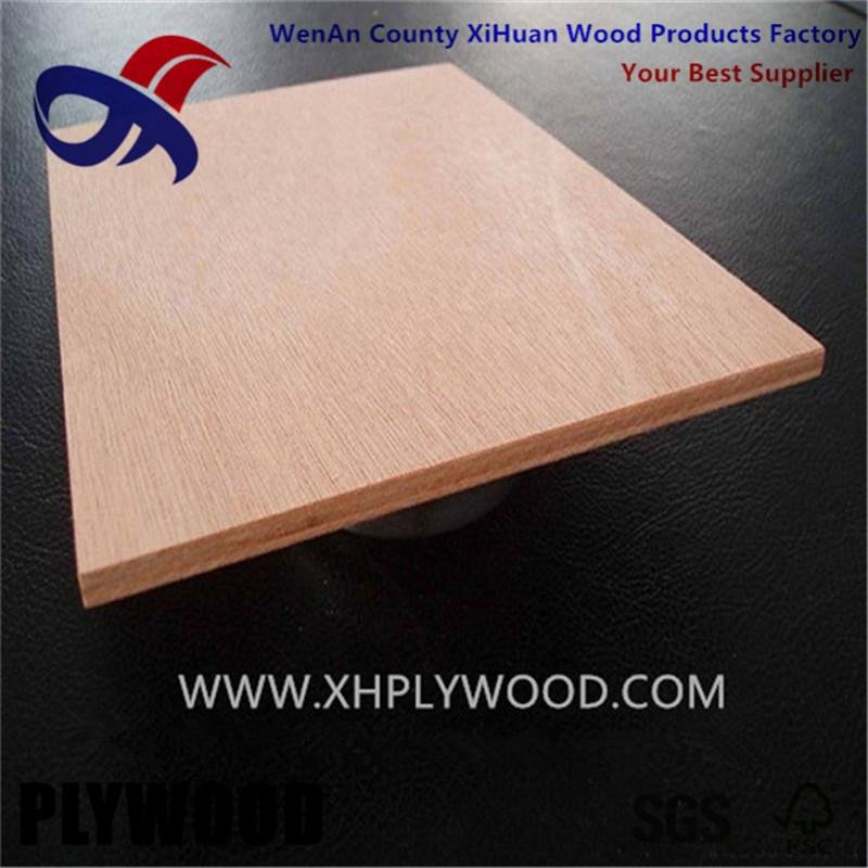 COMMERCIAL PLYWOOD 5