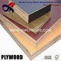 MELAMINE PLYWOOD 4