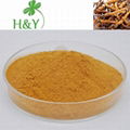 Cordyceps Extract Cordyceps 1%