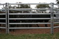 Livestock Fence 1