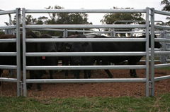 Livestock Fence