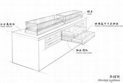 Storage systems display cases