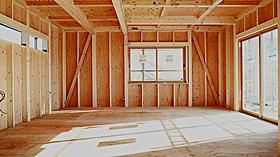 commercial plywood 5