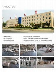 Shandong Fushi Wood Co., Ltd
