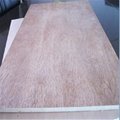 China Factory 18Mm Commercial Plywood For Home
