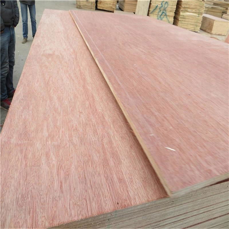 China Factory 18Mm Commercial Plywood For Home 3